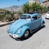Burgio_2009 (338)